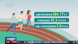 BB贝博艾弗森官网 乒乓球台乐高